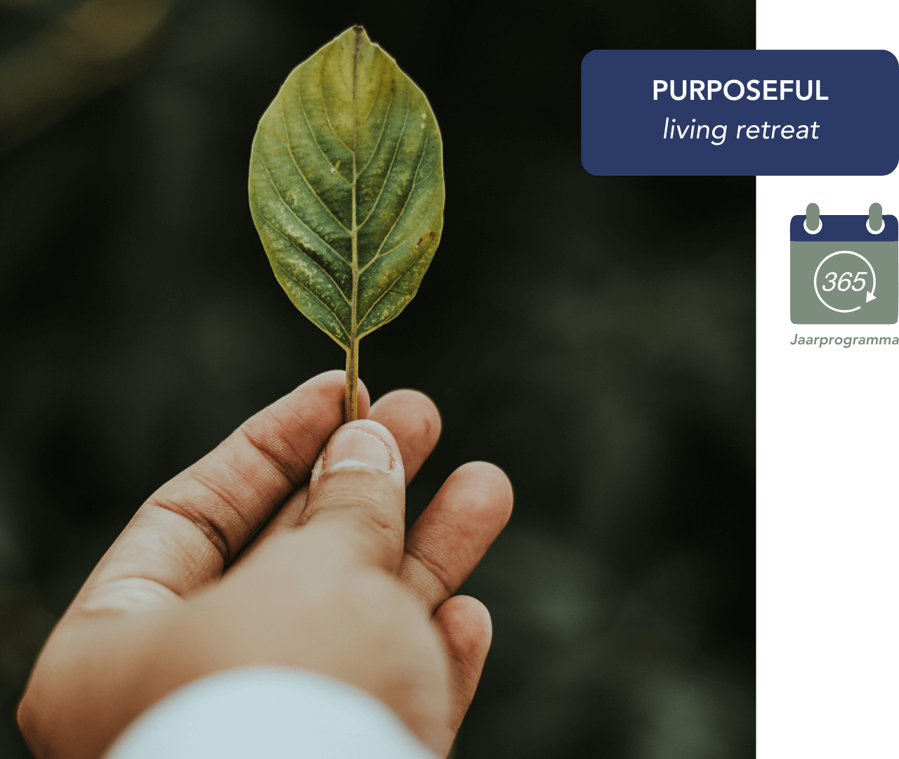 PURPOSEFUL living